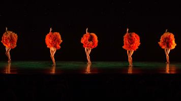 Momix forever danza teatro olimpico roma