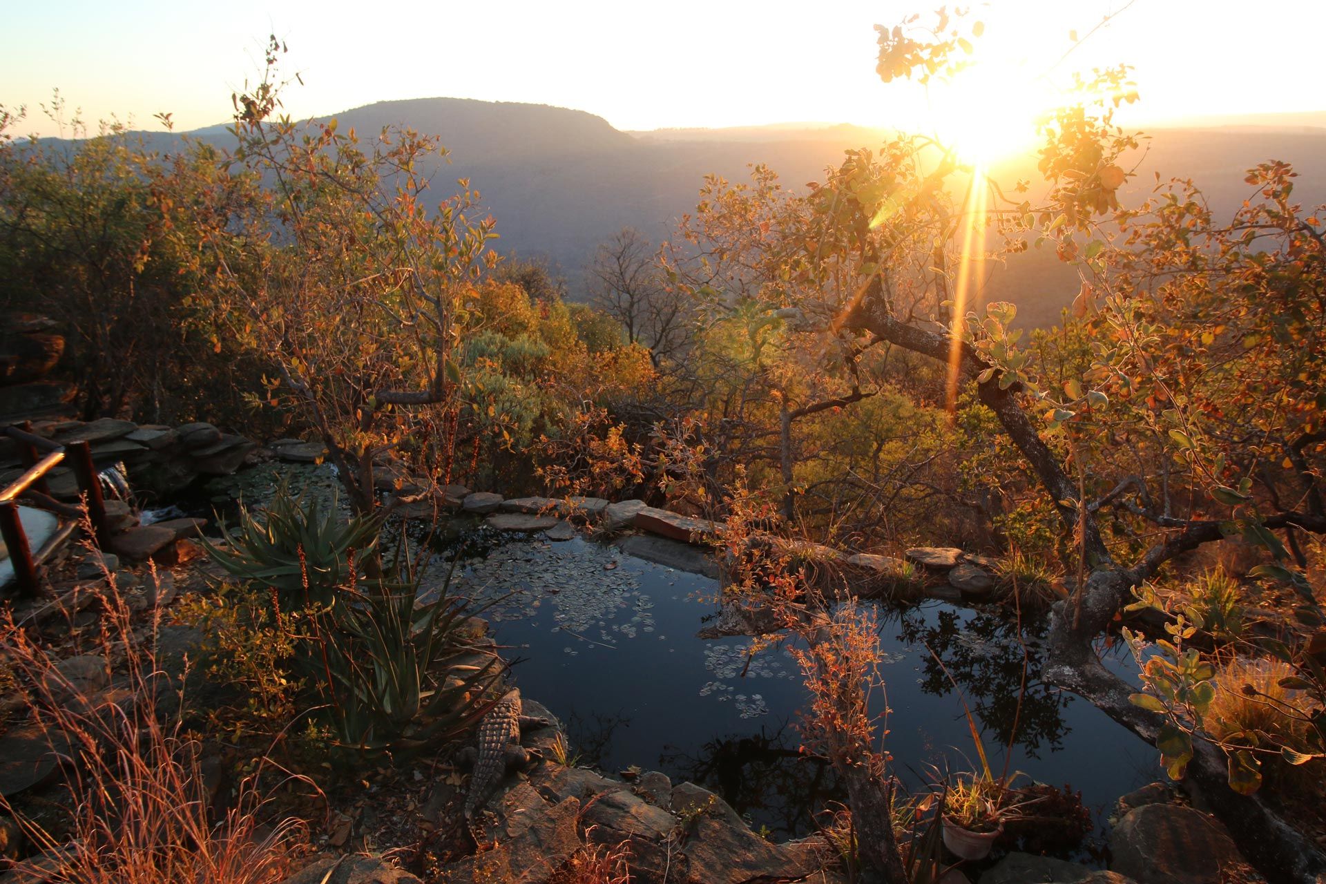 SABI: a bridge between Italy and South Africa